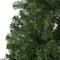 6ft. Unlit Northern Tip Pine Artificial Christmas Tree